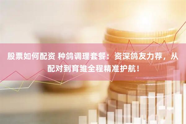 股票如何配资 种鸽调理套餐：资深鸽友力荐，从配对到育雏全程精准护航！