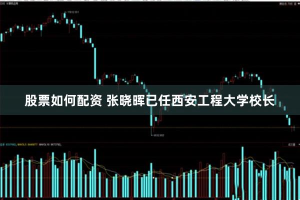 股票如何配资 张晓晖已任西安工程大学校长